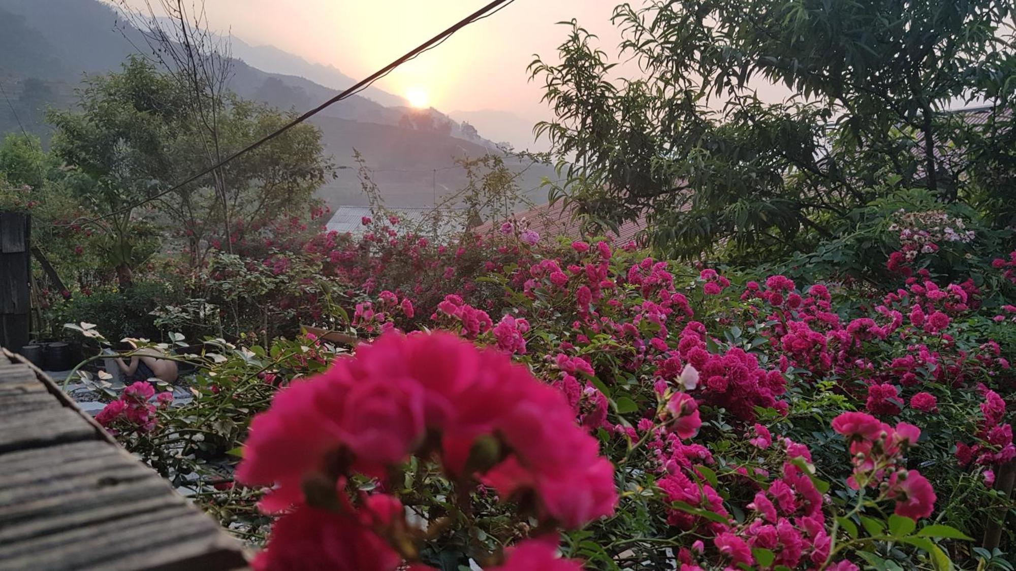 Tavan View Homestay Sa Pa Esterno foto