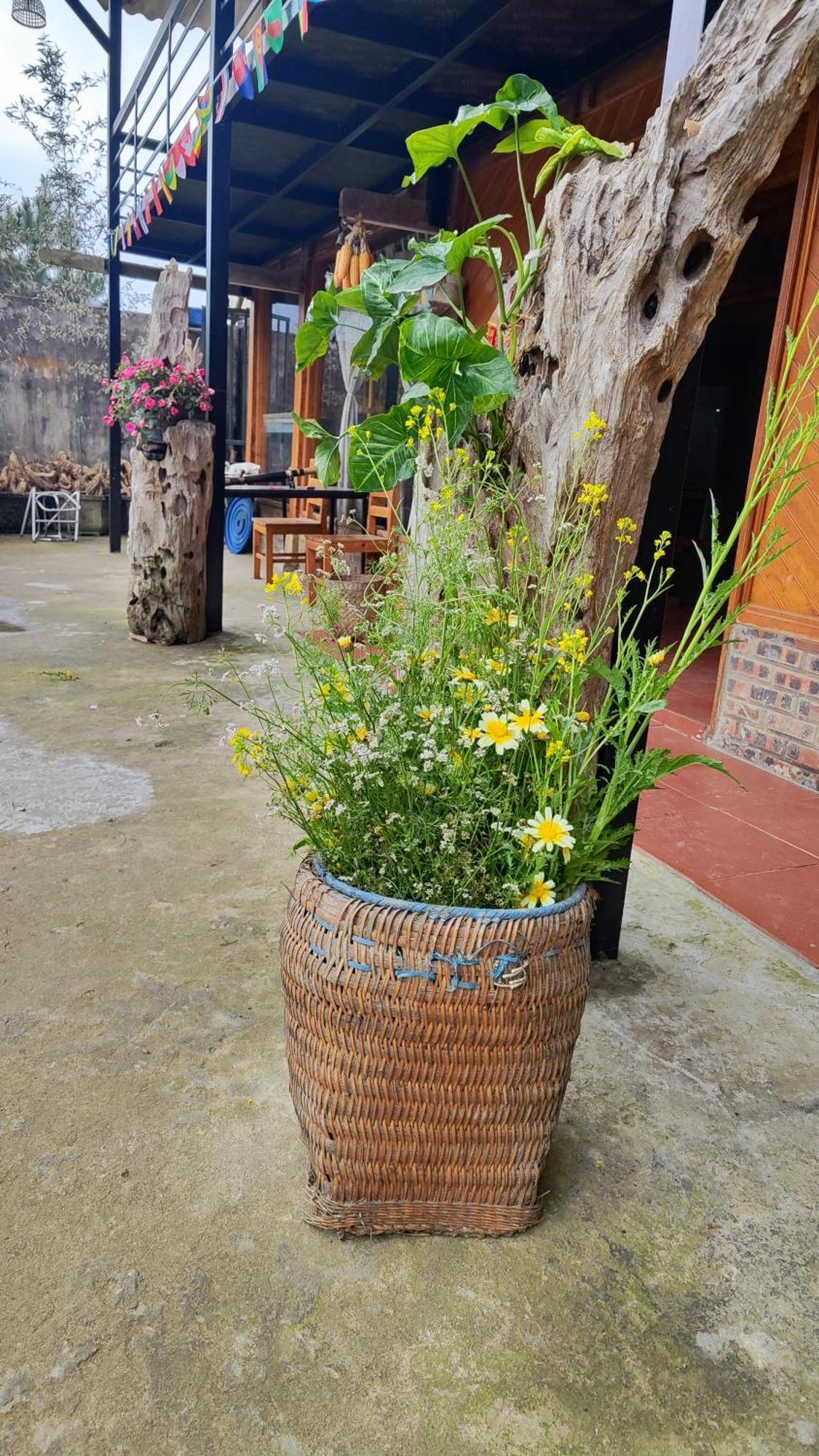 Tavan View Homestay Sa Pa Esterno foto